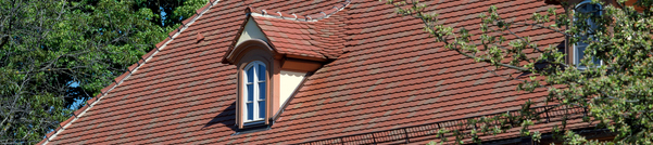 CREATON KeraBiber auf dem Marstall in Lübbenau